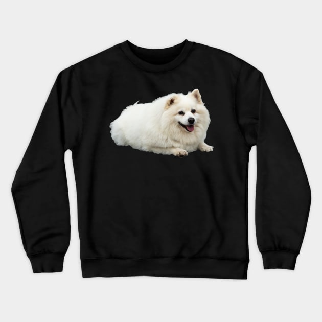 American Eskimo Dog picture Crewneck Sweatshirt by yassinebd